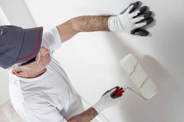 Best Mold Odor Removal Services  in Memphis, MI