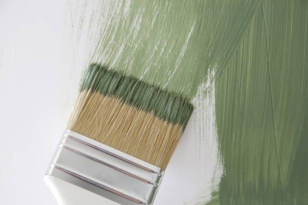 Best Mold Damage Restoration  in Memphis, MI
