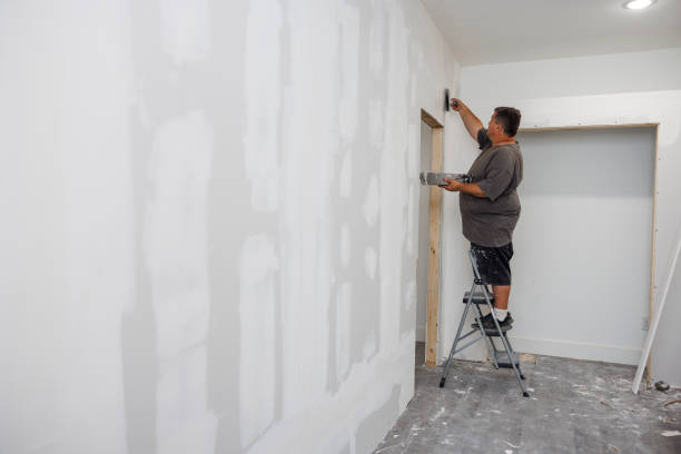  Memphis, MI Mold Removal Pros