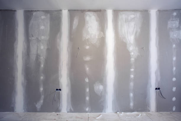 Best Mold Documentation for Insurance Claims  in Memphis, MI